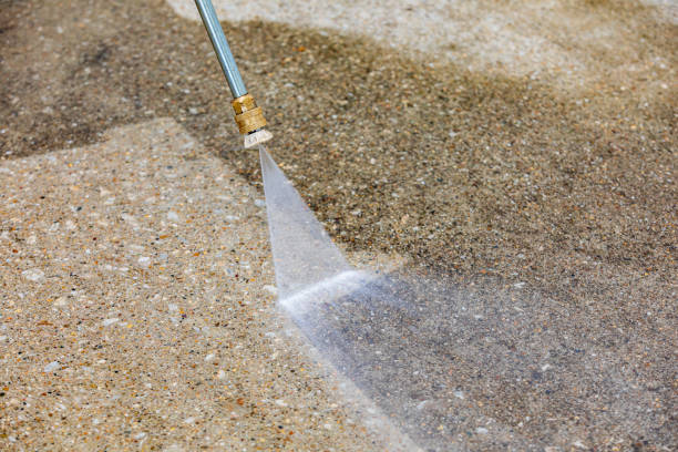 Animal Enclosure Cleaning in Petersburg, AK